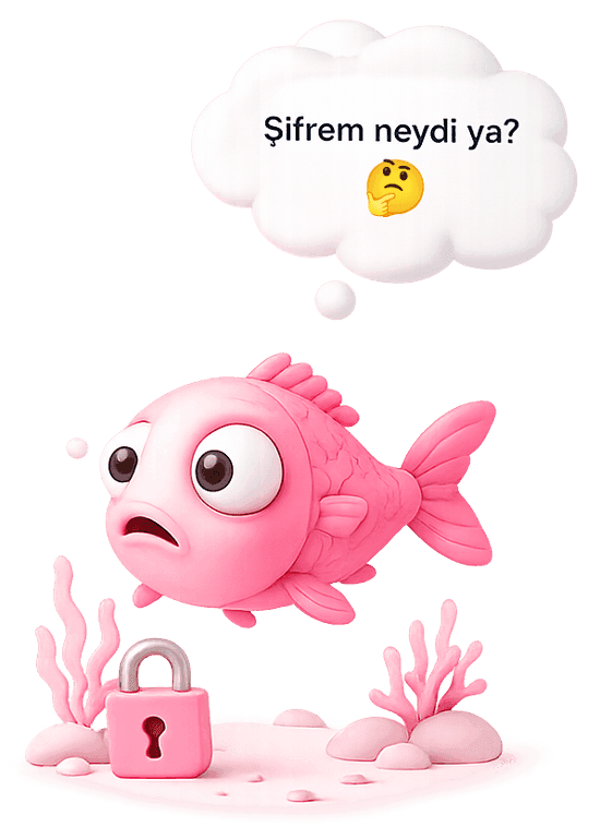 Şifremi Unuttum